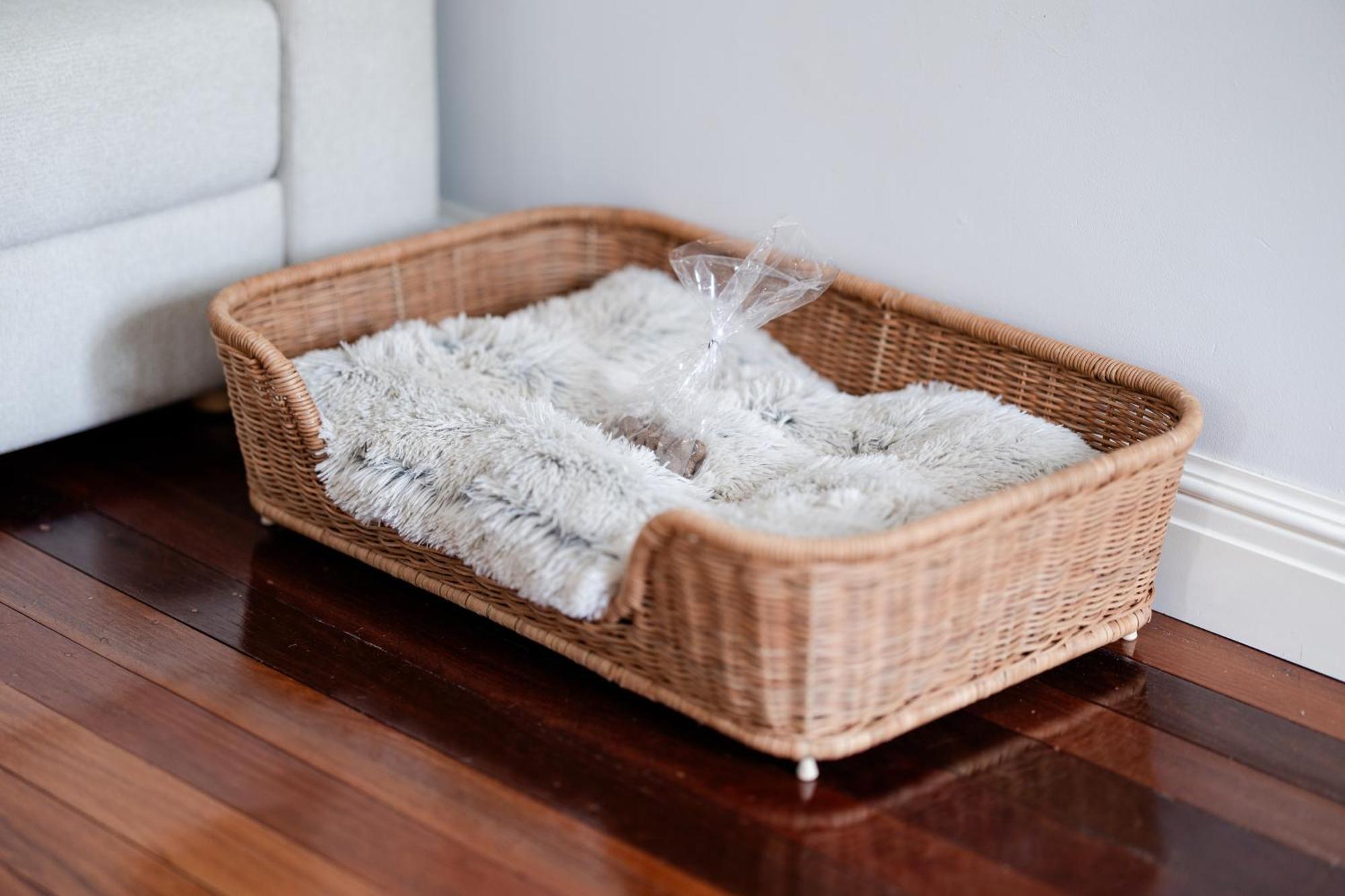 Cottage On Lamington Canungra エクステリア 写真